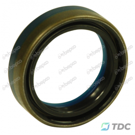 Riebokšlis 45x60x16/17