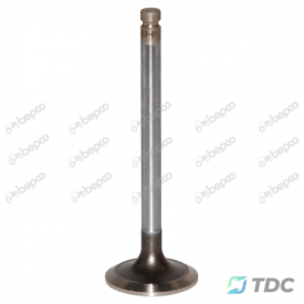 Išmetimo vožtuvas Ø 41.00 X 9.00 MM - L 123.00 MM - 30°