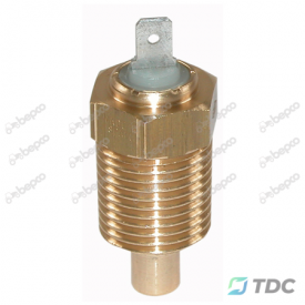 Vandens temperatūros daviklis