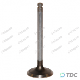 Įsiurbimo vožtuvas