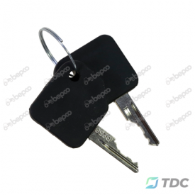 Užvedimo spynelės rakteliai 2 vnt