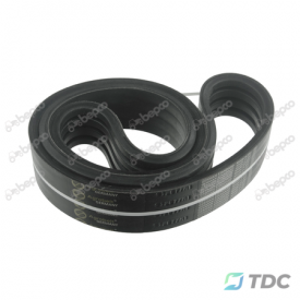 POWER BAND BELT 4HA - 1724 La
