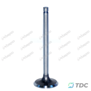Išmetimo vožtuvas Ø 43 X 9.4 MM - L 146.3 MM - 45°
