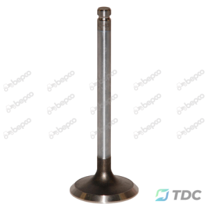 Įsiurbimo vožtuvas