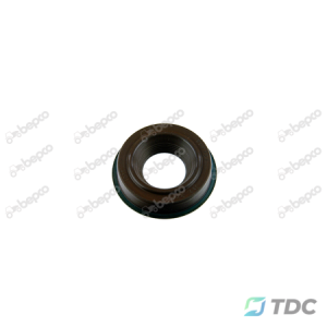 Kuro purkštuko tarpiklis