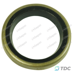 Riebokšlis purvasargis 25x35x4.8