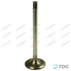 Įsiurbimo vožtuvas