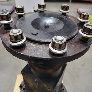 Galinio tilto velenas