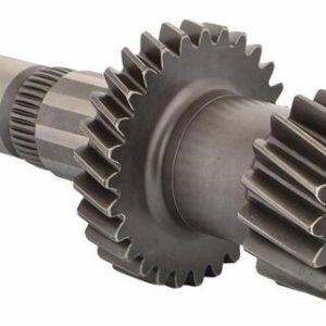 Transmisijos velenas